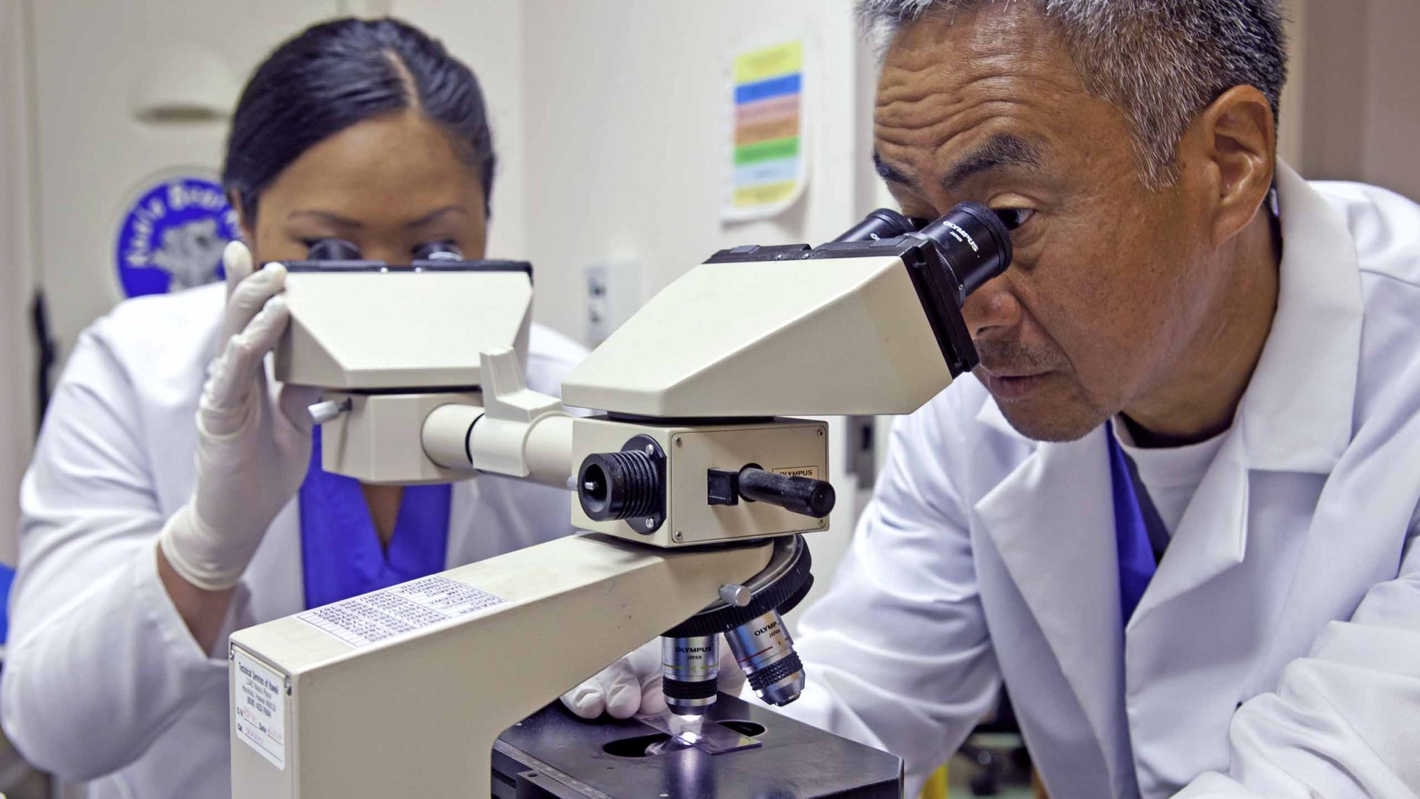 Lab Ppl Hawaiʻi Pathologist’s Laboratory, LLP - HPLLAB.com